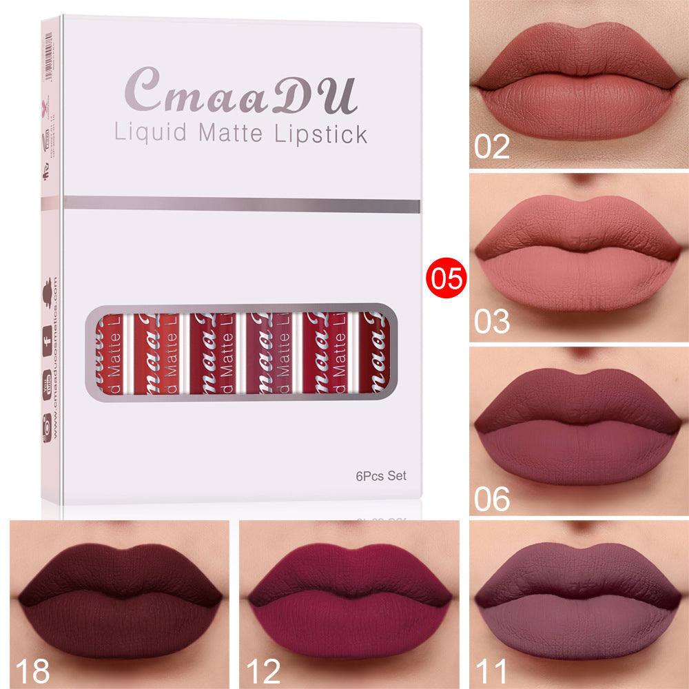 Matte Waterproof Lip Gloss