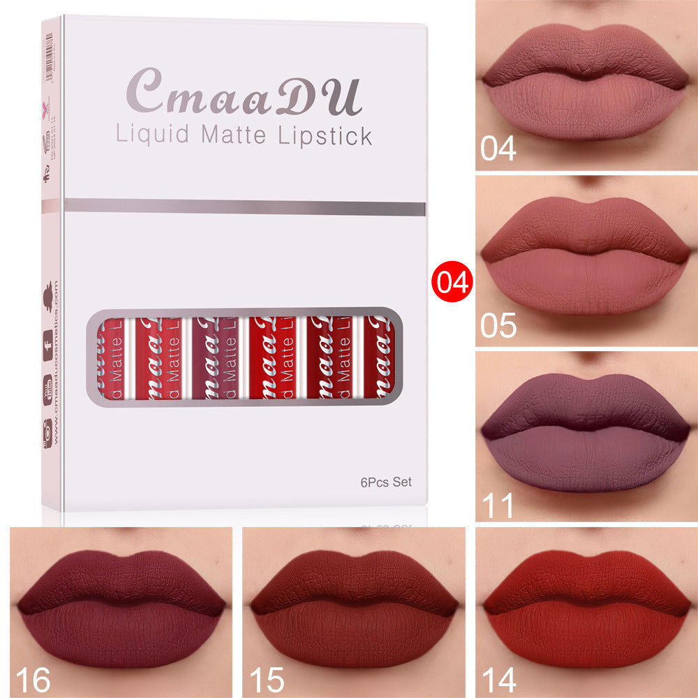 Matte Waterproof Lip Gloss
