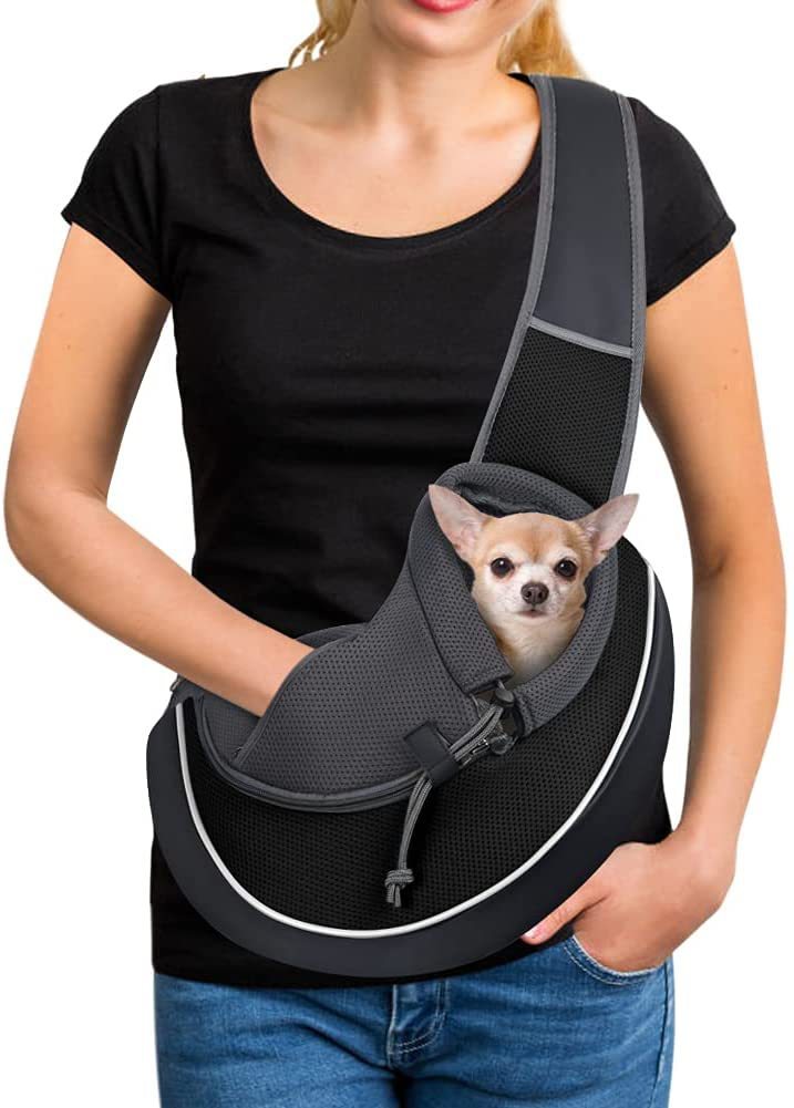 Portable Pet Carrying Bag