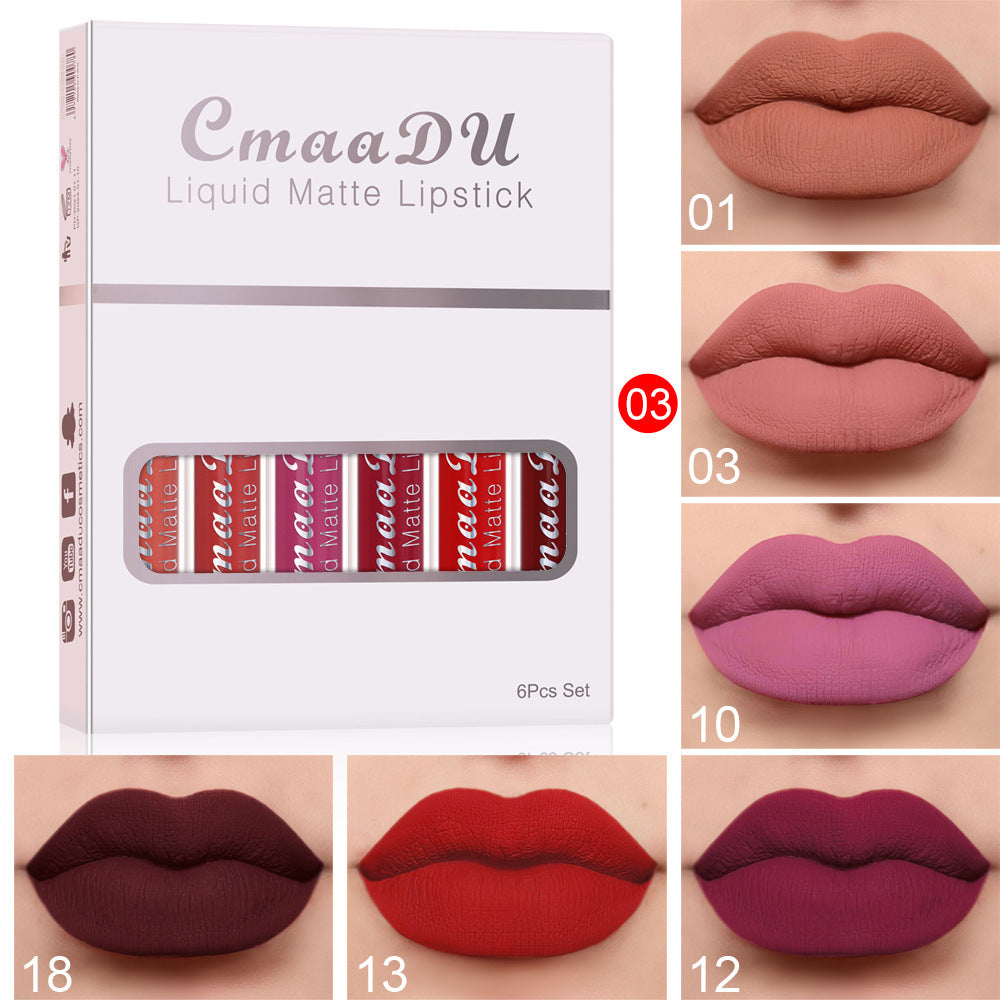 Matte Waterproof Lip Gloss