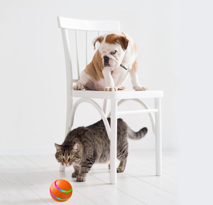 Intelligent Self-Rotating Cat Toy