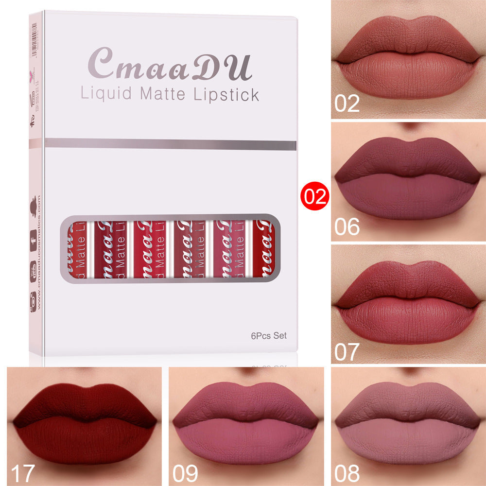 Matte Waterproof Lip Gloss