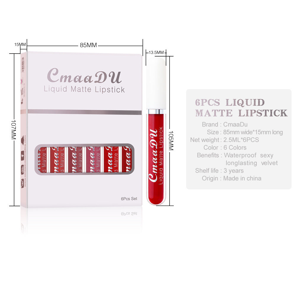 Matte Waterproof Lip Gloss