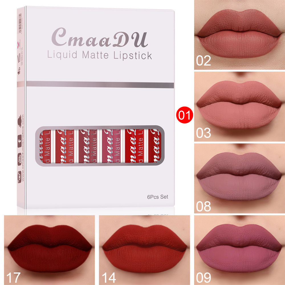 Matte Waterproof Lip Gloss