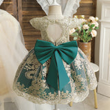 Elegant Princess Dress for Girls