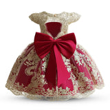 Elegant Princess Dress for Girls