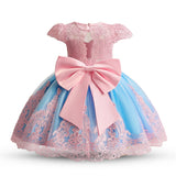 Elegant Princess Dress for Girls