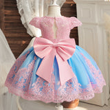 Elegant Princess Dress for Girls